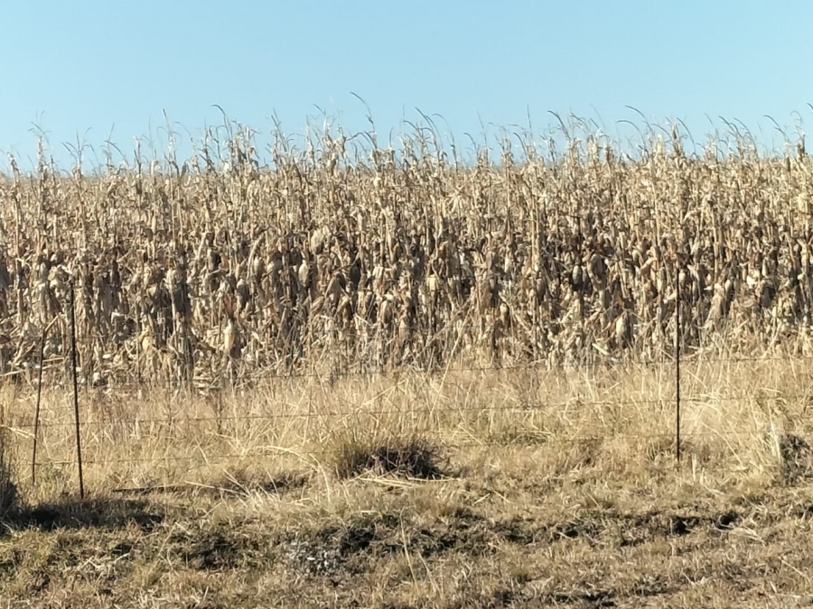 4 Bedroom Property for Sale in Bethlehem Rural Free State